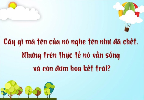 Câu đố hack não: Từ nào mà có 12 chữ 'M'?- Ảnh 5. Câu đố hack não: Từ nào mà có 12 chữ 'M'?- Ảnh 5.