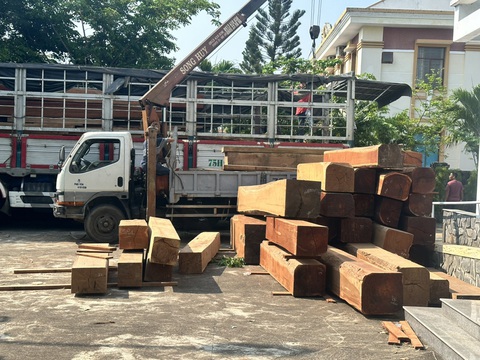 Theo Công an Phú Yên, số lượng gỗ từ xe tải biển số Thừa Thiên - Huế chở nhiều hơn so với số lượng gỗ trong hồ sơ lâm sản do tài xế cung cấp - Ảnh: LINH NGUYÊN Theo Công an Phú Yên, số lượng gỗ từ xe tải biển số Thừa Thiên Huế chở nhiều hơn so với số lượng gỗ trong hồ sơ lâm sản do tài xế cung cấp - Ảnh: LINH NGUYÊN