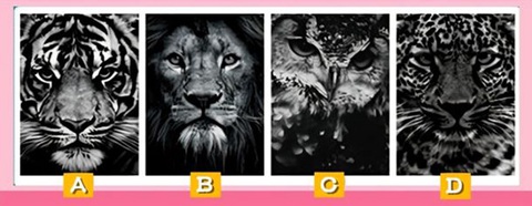 Quiz: Bản chất thực sự của bạn là thiên thần hay tiểu quỷ sứ?- Ảnh 1. Quiz: Bản chất thực sự của bạn là thiên thần hay tiểu quỷ sứ?- Ảnh 1.