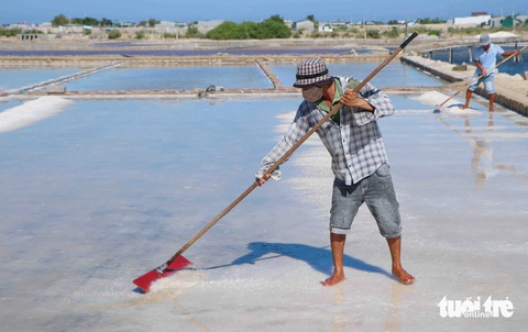 Nắng thiêu da đốt thịt, nước mặn bốc hơi bỏng rát, diêm dân vẫn cào muối- Ảnh 6. Dù rất vất vả nhưng diêm dân vẫn gắn bó với nghề cha ông truyền lại. Trong ảnh: Cào muối dưới nắng gay gắt - Ảnh: DUY NGỌC