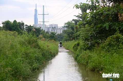 Nhiều công viên bị 'treo', Sở Xây dựng TP.HCM nói do ngân sách còn hạn hẹp- Ảnh 1. Khu lâm viên sinh thái (TP Thủ Đức) là 1 trong 6 công viên được Sở Xây dựng TP.HCM đề xuất xây dựng - Ảnh: CHÂU TUẤN