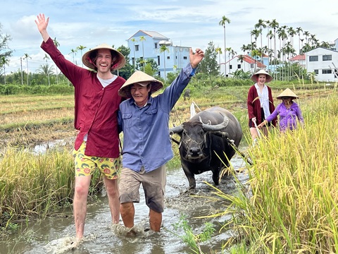 Người Mỹ, Pháp, Anh... chi tiền tới Hội An thử làm nông dân- Ảnh 1. Nhóm khách châu Âu cười vui khi được cày ruộng ở Hội An - Ảnh: B.D.