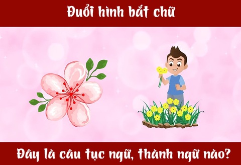 IQ cao có đoán được đây là câu tục ngữ, thành ngữ gì? (P70)- Ảnh 1. IQ cao có đoán được đây là câu tục ngữ, thành ngữ gì? (P70)- Ảnh 1.