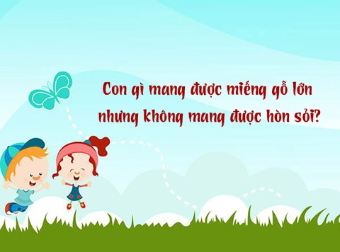 Câu đố hack não: Con gì mang được miếng gỗ lớn nhưng không mang được hòn sỏi?- Ảnh 1. Câu đố hack não: Con gì mang được miếng gỗ lớn nhưng không mang được hòn sỏi?- Ảnh 1.