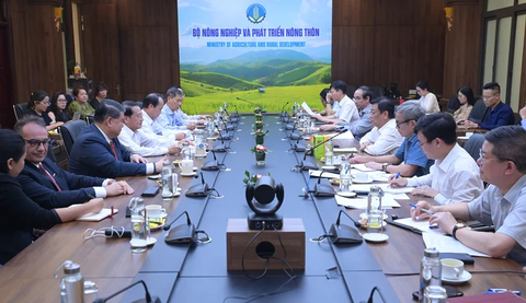 Festival trái cây Tiền Giang là cơ hội để xây dựng thương hiệu, thị trường- Ảnh 1. Bộ Nông nghiệp và Phát triển nông thôn làm việc với UBND tỉnh Tiền Giang về công tác chuẩn bị Festival trái cây 2024 - Ảnh: TÙNG ĐINH