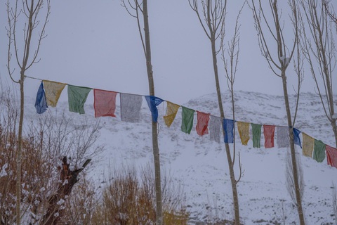 Vội đến Ladakh khi còn được dạo bước trên những dòng sông băng- Ảnh 4. Vội đến Ladakh khi còn được dạo bước trên những dòng sông băng- Ảnh 4.