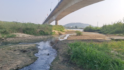 Dự án thoát nước ở Quảng Ngãi lại có thông số thoát nước về sông Hàn, Đà Nẵng: Do cóp dán- Ảnh 1. Hiện tại nước thải và nước mưa vẫn chảy ra sông Trà Khúc chung một hệ thống thoát nước mà không qua xử lý - Ảnh: TRẦN MAI