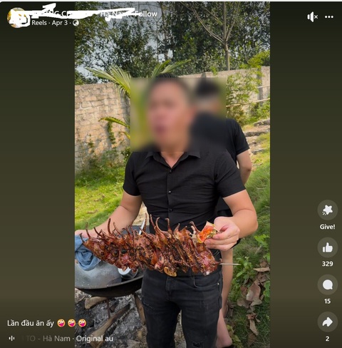 Vừa ăn vừa livestream - Ảnh cắt từ livestream Vừa ăn chim hoang dã vừa livestream - Ảnh cắt từ livestream
