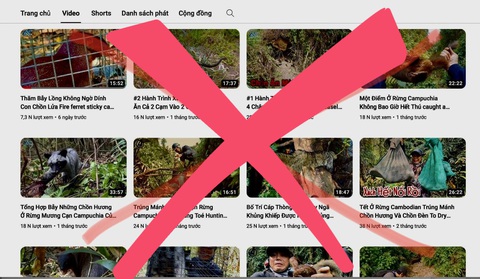 Hàng loạt kênh YouTube đăng video clip săn bắt, chế biến, ăn động vật hoang dã bị dư luận phản ứng - Ảnh chụp màn hình Hàng loạt kênh YouTube đăng video clip săn bắt, chế biến, ăn động vật hoang dã bị dư luận phản ứng - Ảnh chụp màn hình