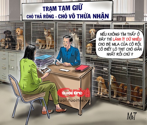'Lành ít dữ nhiều' cho cún cưng Mila- Ảnh 1. Tuyệt vọng đi tìm cún cưng Mila - Tranh: Đỗ Minh Tuấn