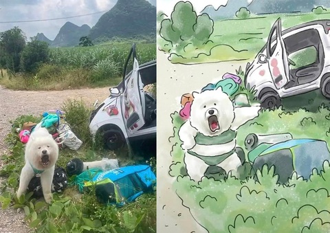 Ảnh vui 14-4: 'Hồi xưa lấy bằng lái kiểu gì vậy?'- Ảnh 1. Đen xui thôi, đỏ thì nói gì...