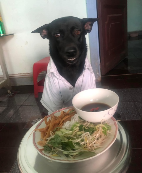 Ảnh vui 14-4: 'Hồi xưa lấy bằng lái kiểu gì vậy?'- Ảnh 4. Một tháng hai ngày ăn chay, nhưng cái mỏ hơi hỗn.