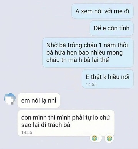 Sinh con được thì nuôi được, sao trách mẹ chồng?!- Ảnh 1. Đoạn tin nhắn được lan truyền trên mạng - Ảnh mạng xã hội