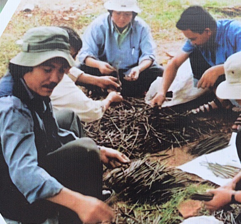 Những bàn tay thanh niên xung phong (thế hệ đầu tiên) ươm mầm xanh cho rừng ngập mặn Cần Giờ - Ảnh tư liệu Những bàn tay thanh niên xung phong (thế hệ đầu tiên) ươm mầm xanh cho rừng ngập mặn Cần Giờ - Ảnh tư liệu