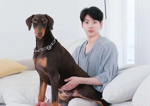 Bam được yêu mến bởi sự trung thành, tình cảm với Jungkook - Ảnh: Koreaboo Bam được yêu mến bởi sự trung thành, tình cảm với Jungkook - Ảnh: Koreaboo