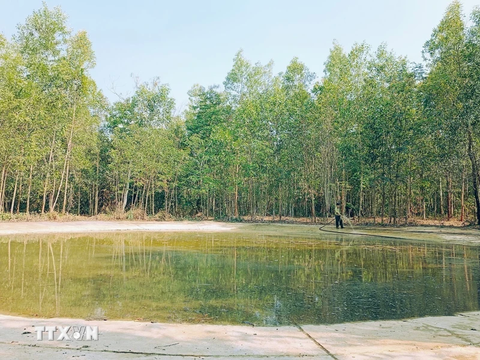 Nhân viên bảo tồn, kiểm lâm 'tiếp nước' và khoáng chất cho thú rừng mùa khô- Ảnh 2. Một “chảo tiếp nước” cho voi và động vật lớn được triển khai tại khu rừng thuộc Khu bảo tồn thiên nhiên văn hóa Đồng Nai