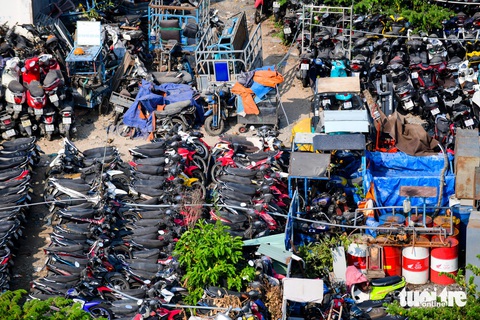 Núi xe vi phạm chất đống ở TP.HCM, nguy cơ cháy nổ khi nắng nóng kéo dài- Ảnh 7. Hàng trăm phương tiện vi phạm chất đống bị cây cỏ, dây leo bao phủ - Ảnh: QUANG ĐỊNH