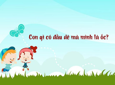 Câu đố hack não: Con gì có đầu dê mà mình là ốc?- Ảnh 1. Câu đố hack não: Con gì có đầu dê mà mình là ốc?- Ảnh 1.