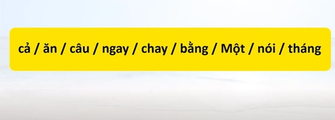 Thử tài tiếng Việt: Sắp xếp các từ sau thành câu có nghĩa (P63)- Ảnh 1. Thử tài tiếng Việt: Sắp xếp các từ sau thành câu có nghĩa (P63)- Ảnh 1.