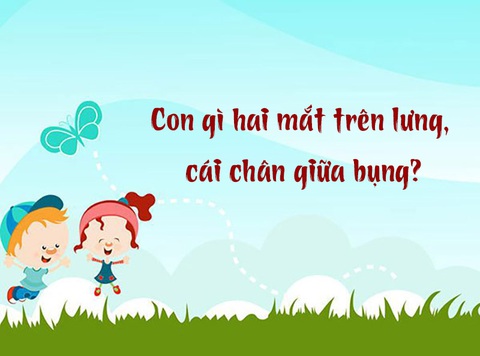 Câu đố hack não: Con gì hai mắt trên lưng, cái chân giữa bụng?- Ảnh 1. Câu đố hack não: Con gì hai mắt trên lưng, cái chân giữa bụng?- Ảnh 1.