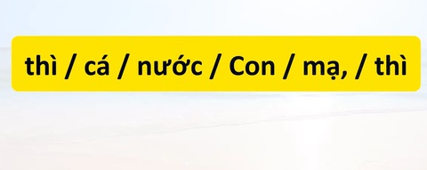 Thử tài tiếng Việt: Sắp xếp các từ sau thành câu có nghĩa (P63)- Ảnh 3. Thử tài tiếng Việt: Sắp xếp các từ sau thành câu có nghĩa (P63)- Ảnh 3.