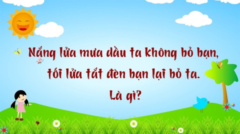 Câu đố hack não: Con gì hai mắt trên lưng, cái chân giữa bụng?- Ảnh 5. Câu đố hack não: Con gì hai mắt trên lưng, cái chân giữa bụng?- Ảnh 5.