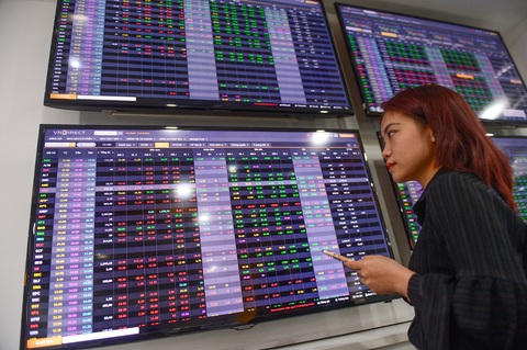 Chứng khoán Việt 'nhuộm' sắc đỏ, VN-Index tiếp tục rớt sâu- Ảnh 1. Thị trường chứng khoán Việt