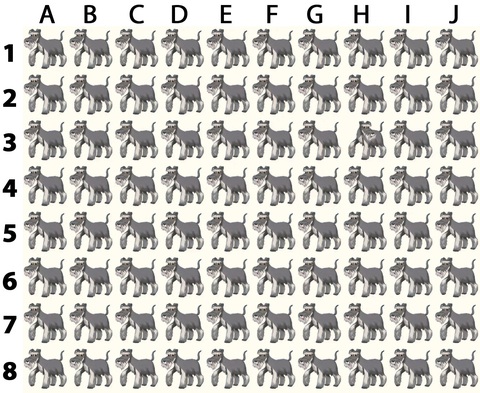 Thử tài tinh mắt: 4 người đàn ông ẩn giấu ở đâu?- Ảnh 3. Thử tài tinh mắt: 4 người đàn ông ẩn giấu ở đâu?- Ảnh 3.