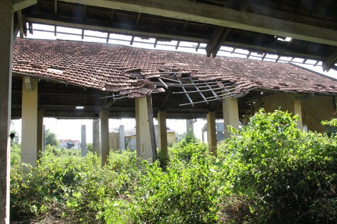 Cảnh hoang phế ở doanh nghiệp nhà nước phải xin tiền trả nợ để giải thể- Ảnh 10. Cây dại và nợ là