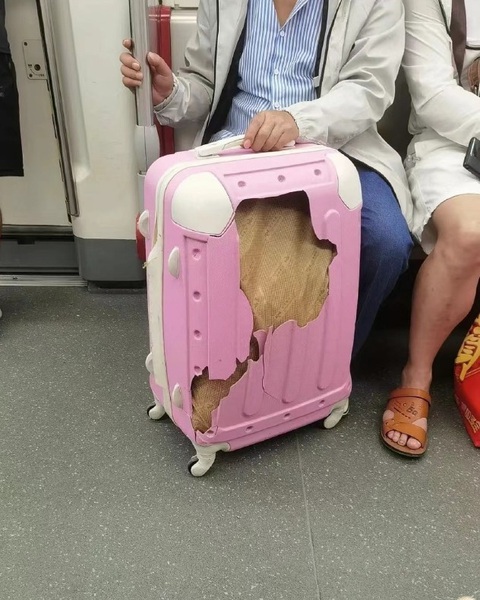 Ảnh vui 16-4: Chú chó lo lắng bị 'đổ vỏ'- Ảnh 2. Lương 5,5 triệu đồng mà đi chữa lành kiểu...