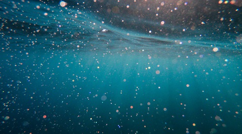 Ảnh: Cristian Palmer on Unsplash Hydrogel có thể tồn tại tới 5 chu kỳ loại bỏ vi nhựa mà không bị giảm hiệu quả - Ảnh: Cristian Palmer on Unsplash