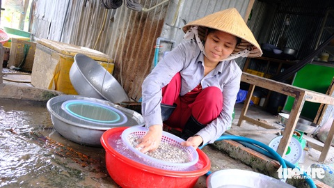 Trăm món ngọt lành con hến miền Tây- Ảnh 4. Chị Trần Thị Bé Di sinh sống nhờ nghề bắt và bán hến gần 10 năm nay - Ảnh: ĐẶNG TUYẾT