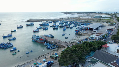 Lý Hải huy động trăm thuyền bè, ngàn diễn viên quần chúng cho Lật mặt 7- Ảnh 2. Một góc phim trường bên biển của Lật mặt 7 - Ảnh: ĐPCC