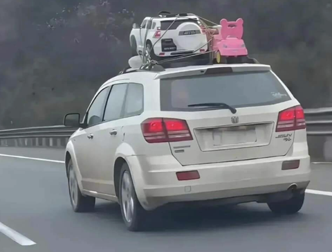 Ảnh vui 18-4: 'Ảnh full HD không che' một chú gà Đông Tảo- Ảnh 2. Nhìn phát biết ngay gia đình