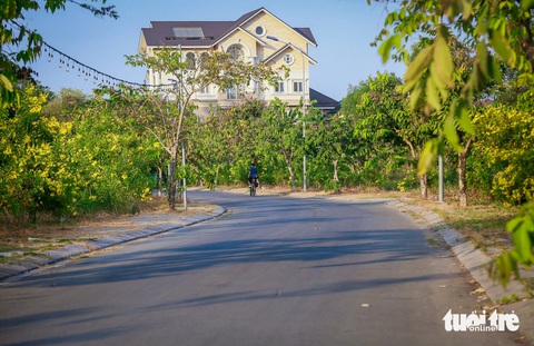 Hiện trạng dự án ‘nhà giàu’ kế khu đô thị Thủ Thiêm 23 năm chưa có đường vào- Ảnh 7. Theo quy hoạch đó, tuyến đường D10 (kết nối với đường Trần Bạch Đằng) nằm trong ranh đất của dự án Lê Quan hiện nay chưa đầu tư. Còn đường ven sông Sài Gòn thuộc ranh đất dự án biệt thự Lan Anh. Để đi vào đất dự án biệt thự An Khánh thì phải đi qua 2 dự án trên - Ảnh: ÁI NHÂN
