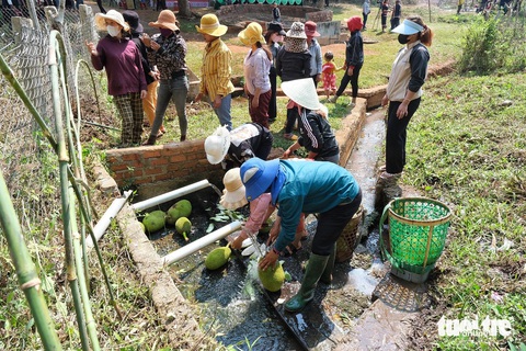 Xem người Ba Na tái hiện lễ cầu mưa giữa mùa khô Tây Nguyên- Ảnh 5. Giọt nước của làng luôn là nơi tập trung nhiều hoạt động trong đời sống hằng ngày của người dân tộc thiểu số bản địa - Ảnh: BỒNG SƠN