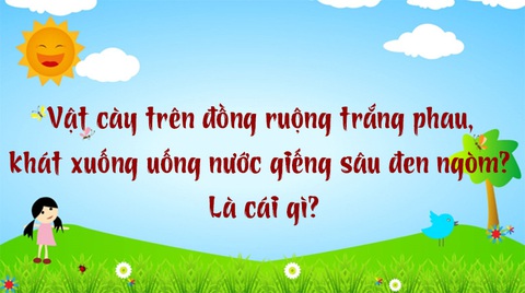 Câu đố hack não: Cái gì càng chặt càng dài?- Ảnh 5. Câu đố hack não: Cái gì càng chặt càng dài?- Ảnh 5.