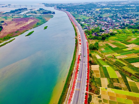 Đỏ mắt với 'con đường ớt' ở Quảng Ngãi- Ảnh 5. Tuyến đường ớt dài bất tận - Ảnh: TRẦN MAI