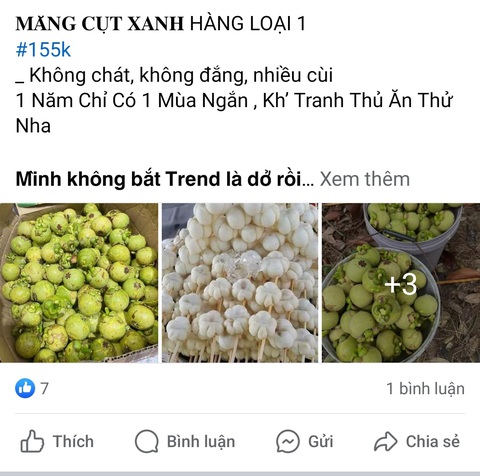 Giá măng cụt đầu mùa tăng sốc, có phải do gỏi gà?- Ảnh 1. Măng cụt xanh là nguyên liệu không thể thiếu xuất hiện trong món gỏi gà “hot trend” năm ngoái đang rần rần trở lại - Ảnh chụp màn hình
