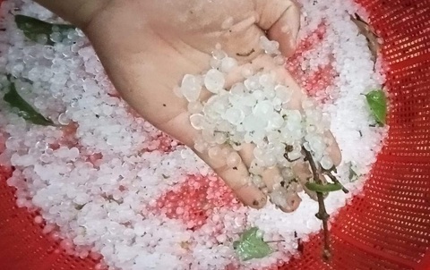 Liên tục xuất hiện mưa đá ở các huyện miền núi Quảng Nam- Ảnh 2. Người dân huyện Nam Trà My dùng rổ hứng những viên đá - Ảnh: Facebook Nam Trà My