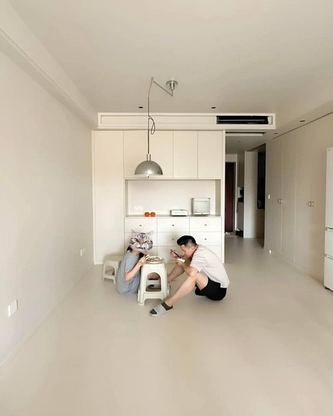 Ảnh vui 19-4: Khi quả chuối không còn là trái chuối ở Nhật Bản- Ảnh 4. Mua nhà xong mà hết tiền mua nội thất kiểu...