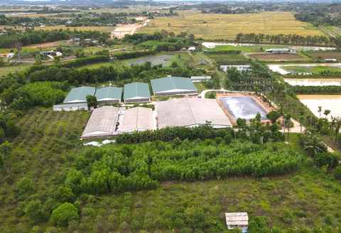 Dự án cao tốc Bắc - Nam bị ‘nghẽn’ vì một trại heo- Ảnh 1. Trại heo chưa được di dời để thi công dự án cao tốc Bắc - Nam - Ảnh: H.A.