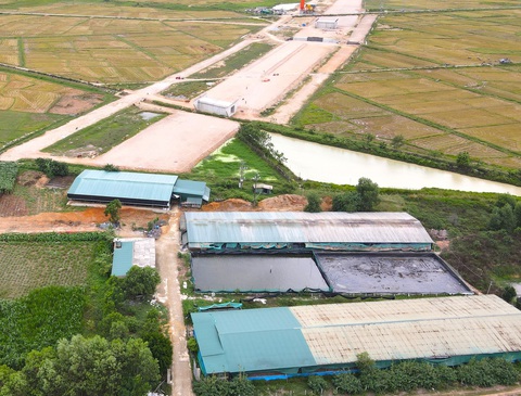 Dự án cao tốc Bắc - Nam bị ‘nghẽn’ vì một trại heo- Ảnh 3. UBND tỉnh yêu cầu ngày 25-4 phải di dời trại heo để bàn giao mặt bằng cho đơn vị thi công cao tốc Bắc - Nam - Ảnh: H.A.