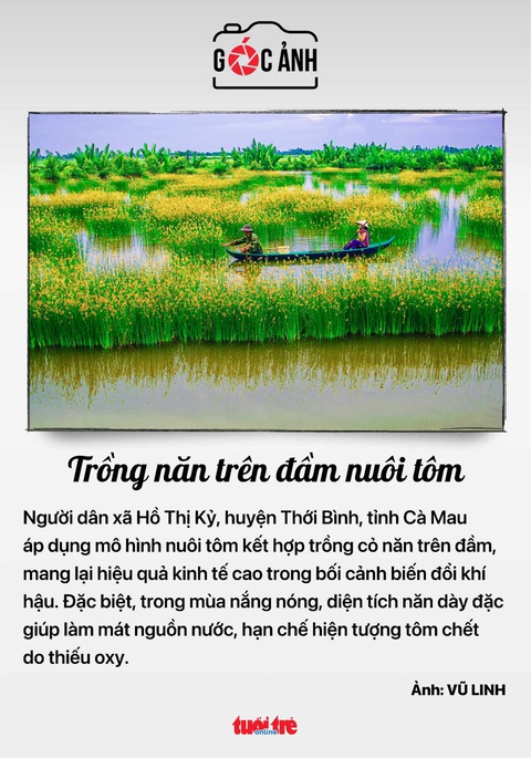 Tin tức sáng 19-4: Bình Dương nhiều thành phố nhất nước; Hai bệnh viện cứu mẹ bệnh tim nặng và em bé- Ảnh 5. Tin tức sáng 19-4: Bình Dương nhiều thành phố nhất nước; Hai bệnh viện cứu mẹ bệnh tim nặng và em bé- Ảnh 5.