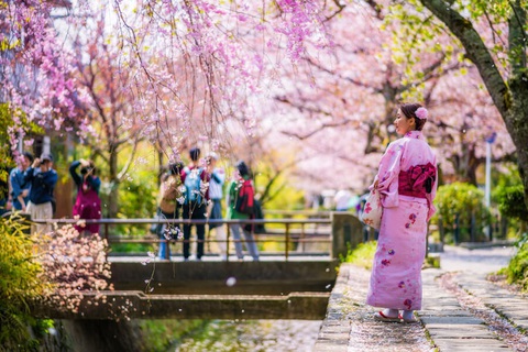 Mê hoa anh đào Nhật Bản trên mạng xã hội, du khách quyết định mua tour- Ảnh 1. Những hành trình ngắm hoa anh đào đẹp nhất Nhật Bản luôn hấp dẫn du khách quốc tế - Ảnh: NhatbanAZ