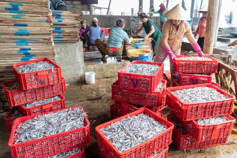 Gio Việt đứng đầu huyện Gio Linh về sản lượng đánh bắt trong nhiều năm - Ảnh: H.TÁO Gio Việt đứng đầu huyện Gio Linh về sản lượng đánh bắt trong nhiều năm - Ảnh: H.TÁO