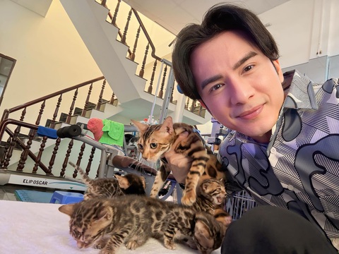 Ca sĩ Đan Trường bên những chú mèo con mới sinh - Ảnh: Facebook nhân vật Ca sĩ Đan Trường bên những chú mèo con mới sinh - Ảnh: Facebook nhân vật