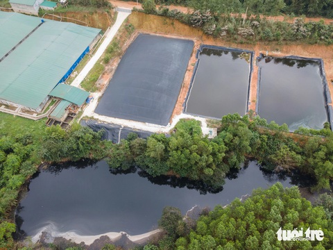 Đội nắng giữa trưa, bắt quả tang trại heo đào mương xả thải- Ảnh 3. Hồ chứa chất thải sau lưng trang trại heo công nghệ cao của ông Phạm Ngọc Lợi - - Ảnh: HOÀNG TÁO