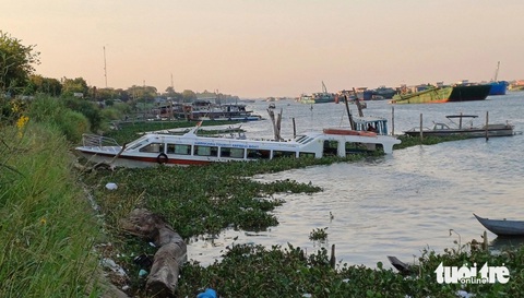Phà đâm vào tàu du lịch chở khách nước ngoài làm 3 người bị thương nặng- Ảnh 1. Hiện nay, lực lượng chức năng tỉnh An Giang đã đưa tàu du lịch và phà vào bờ để phục vụ việc điều tra vụ tai nạn giao thông thủy nghiêm trọng này - Ảnh: MINH KHANG