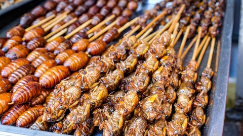 Ve sầu là món ăn - Ảnh: Ivan Yang Món ve sầu trên đường phố - Ảnh: Ivan Yang